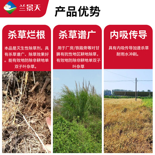 Lan Jingtian 30% dripping acid glyphosate wasteland courtyard orchard weed dead root rotten root pesticide herbicide 500g/bottle J0035
