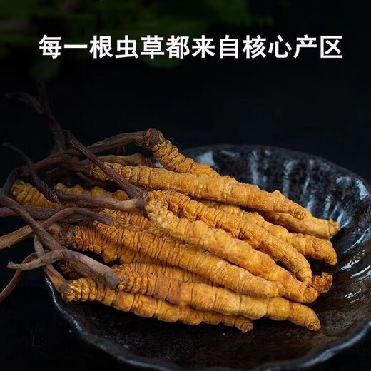 正宗雪山藏区野那l曲高海拔雪山冬虫夏草整草虫草断虫草按克按条 西藏那曲雪山虫草整肉1克