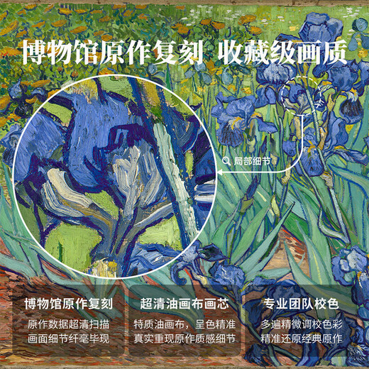 New artist's gift product Van Gogh <Iris> Modern living room entrance sofa background wall decoration painting digital oil painting print Van Gogh-Iris-M size 70*55cm teak frame