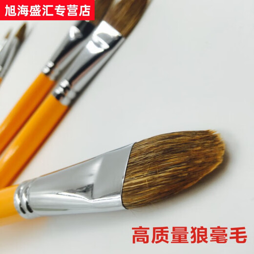伦勃朗826水粉笔 黄色长杆丙烯画笔6支套装水彩笔套装笔集训 偶数套装(2 4 6 8 10 12) 常用