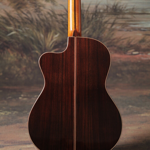 Julia Gitarre Julia Crossover Gitarre R950
