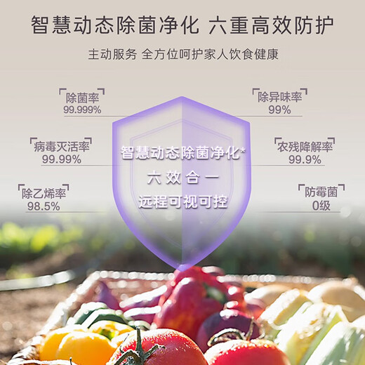 Casarte 610L Refrigerator Zero Distance Free Embedded Refrigerator -30 Cryogenic Quick Freezing Smart Appointment Ice Making C Standard Series C Standard Series + 610 L + Automatic Ice Making