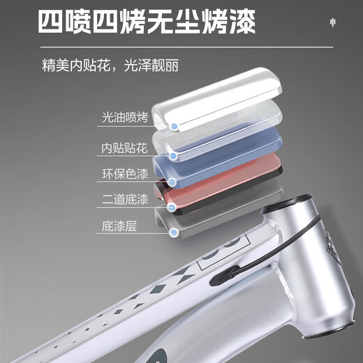 FOREVER (FOREVER) children's bicycles, boys and girls, children's bicycles, 22-inch bicycles, 7-speed silver