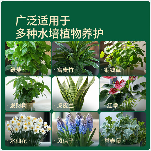 Stanley hydroponic plant nutrient solution rich bamboo special tulip perfume fairy flower indoor potted general fertilizer 125ml