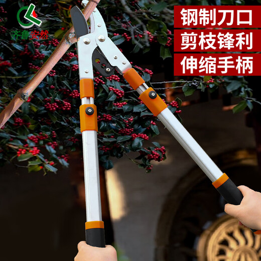 Qilu Anran powerful thick branch shears gardening shears garden labor-saving shears fruit tree pruning shears pruning branches powerful shears telescopic bend