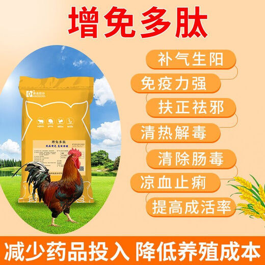 OIMG chicken feed broiler premix large broiler native chicken rooster chicken special 1% compound concentrated feed chicken premix 5kg + free polypeptide + poultry fat set universal broiler native chicken rooster