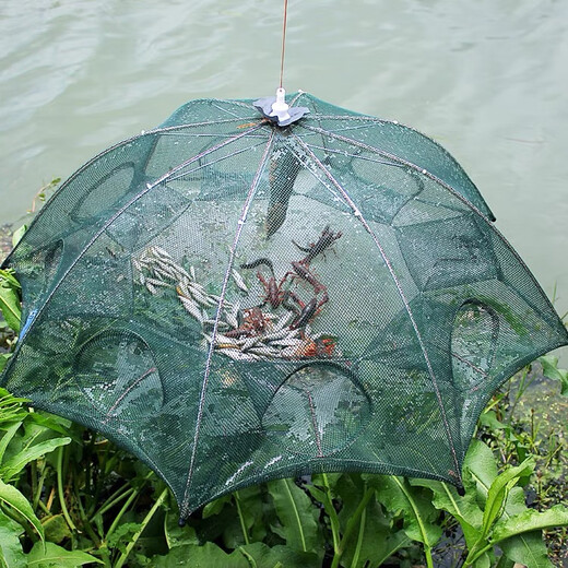 Youfanmeng fishing net foldable ecological breeding cage ground net lobster net net pocket auxiliary materials tools nylon net 8 holes A umbrella type