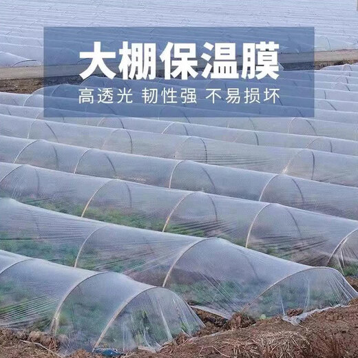 Runhuanian white transparent agricultural thickened small shed special film vegetable field insulation film winter 2.5 meters wide 5 wires thick small shed film 50 meters long