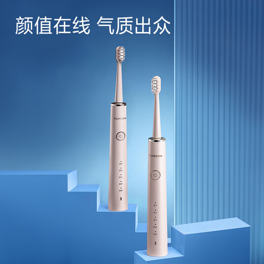 FLYCO Electric Toothbrush for Couples Adult Home Valentine's Day Gift for Men and Women Rechargeable Fully Automatic Sonic Vibration Soft-bristled Toothbrush FT7108 Zhaoxia Powder 2 Original Toothbrush Heads + Stand Charger