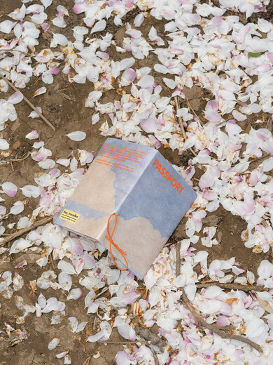 VM香草山在路上原创设计护照夹杜邦纸保护套收纳包卡包钱包旅行 森林款