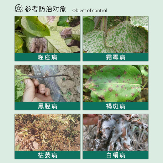 Guoguang Green Kill 58% Metalaxyl Manganese Zinc Lawn Brown Spot Rust Wilt Powdery Mildew Downy Mildew Pesticide Fungicide 500g