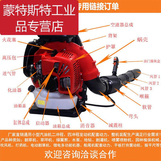 Hair dryer accessories, gasoline engine for greenhouse blowing snow and fallen leaves, backpack forest firefighting wind fire extinguisher, high power 865 throttle switch assembly