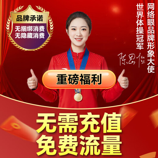 网络眼4g免费流量太阳能摄像头室外无电无网农村户外手机远程高清无线监控器家用360度无死角带夜视全景 【太阳能4G版】免流量无需充值+64G卡