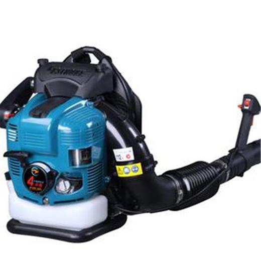 Gasoline hair dryer greenhouse snow blower portable wind fire extinguisher Dowshwell EB850 high power blower portable hair dryer