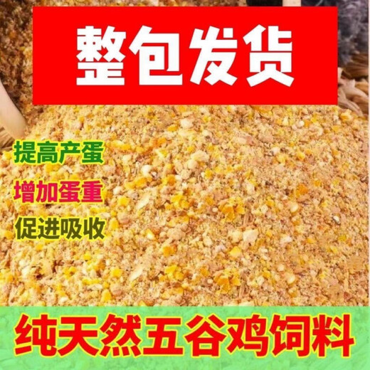 OIMG corn kernels for chicken feed, laying hens, full price feed, chicken, duck, goose, quail 100Jin, Jin is equal to 0.5kg, chicken food formula 50.08Jin, Jin is equal to 0.5kg, express delivery to towns and villages, chicken, duck, goose, quail