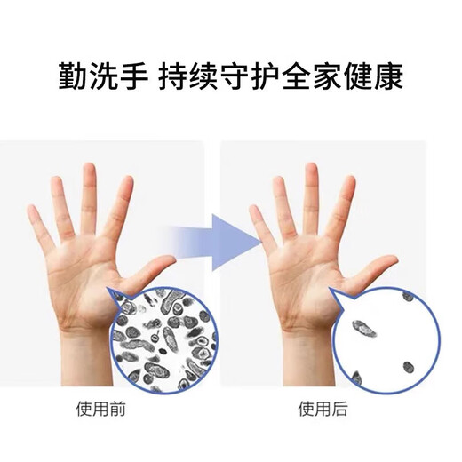 Household Essentials Aloe Vera Moisturizing Sakura Moisturizing Antibacterial Hand Sanitizer 500ml Deep Cleansing and Gentle 500ml*3 Bottles (Fragrance randomly distributed)