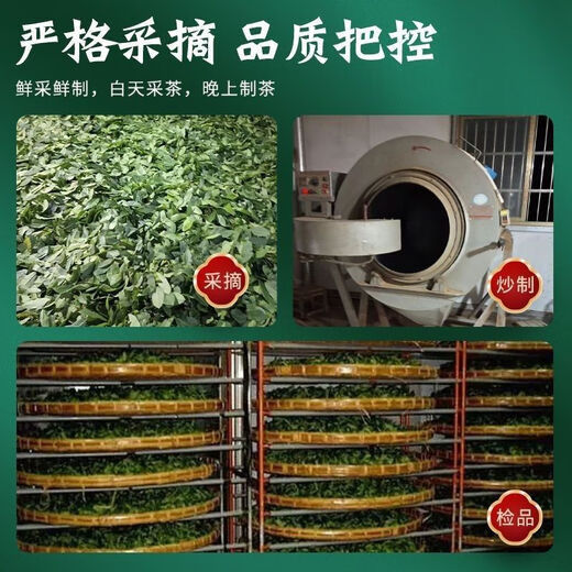 北京同仁堂【正宗青钱柳】江西修水青钱柳野生古树青钱柳原叶茶养生茶金钱柳 500克 原叶青钱柳茶