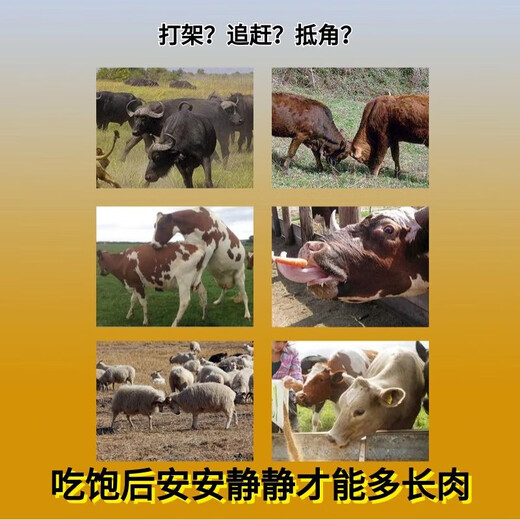 Wanniu'an fattening and calming feed additive does not fight, catch up, sleep quietly, grow meat, ruminant cattle and sheep gold water Wanniu'an 5 bags