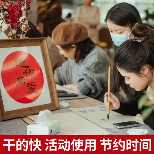 Liupintang calligraphy special quick-drying ink 250g large bottle brush ink activity for construction site calligraphy and painting Chinese painting ink vial beginners practice calligraphy and writing couplets quick-drying ink