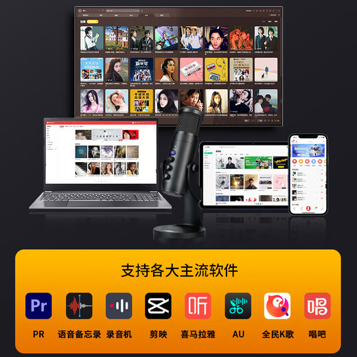 Onedy Core Upgrade Audiobook Special Recording Equipment Professional Set Himalayan Dubbing Microphone Online Class Game Live Noise Canceling Microphone USB Computer Mobile Universal Pro Upgraded Version - Charge and Use Set Professional Recording - Noise Reduction Card