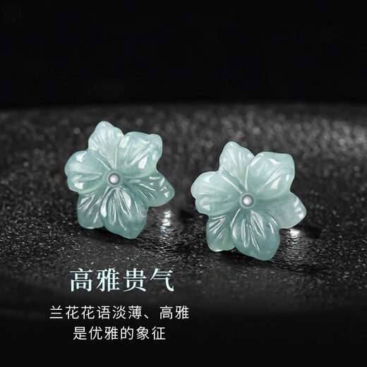 Jianlu Jade A-grade blue mercury earrings for women, jade earrings, temperament, high-end mother's birthday gift for wife and mother
