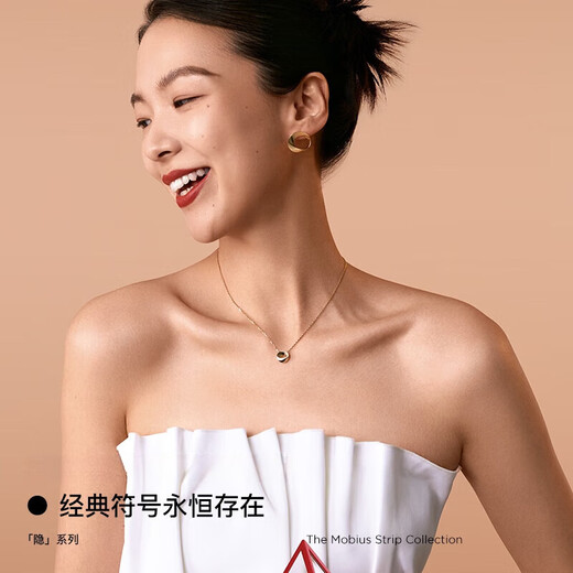 COASZE Hidden Series Möbius Ring Necklace 18K Gold Necklace, Valentine's Day Birthday Gift for Girlfriend and Wife Hidden Gold-Shine Medium Size-Classic and Elegant