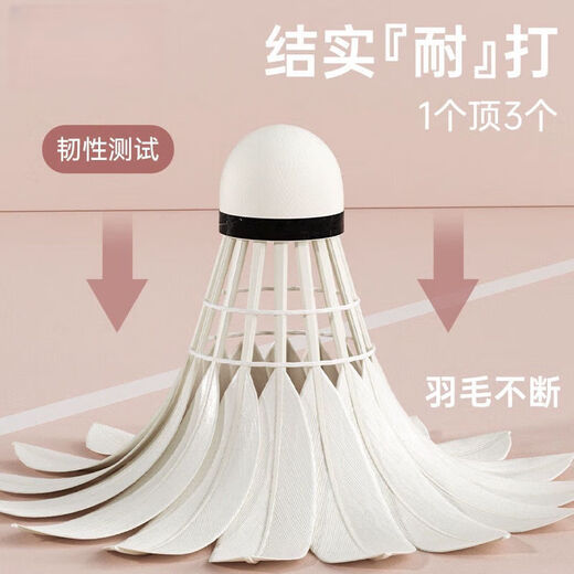 羽毛球正品天然鸭毛12只装耐打鹅毛室内室外比赛防风训练用球6只 【日常训练】无标-升级台纤 1筒 12只装