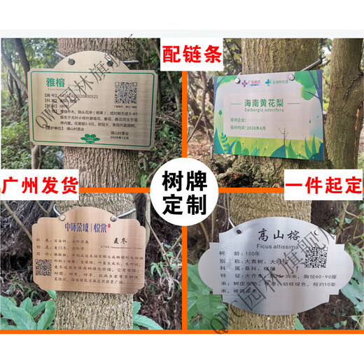 Stainless steel 304 tension spring chain hanging plant Chinese herbal tree brand spring stainless steel spring 30x0.6cm