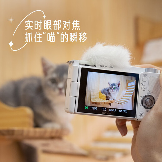 Sony (SONY) [up to 24 period interest-free] ZV-E10 zv-e10l micro single digital camera volg video beauty camera ZV-E10L black set + E18-105F4 dual lens package 5 live set + 699 battery gift package