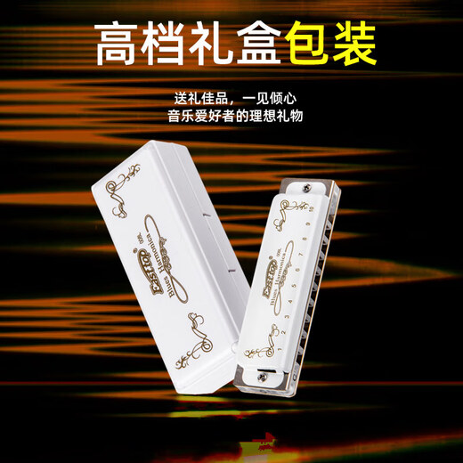 EAST TOP blues harmonica 10 holes T008L PADDY C key