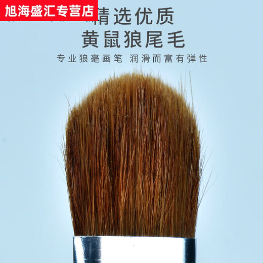 Van Gogh Wasserkreide Set 6 Pack Wolf Hair Student Pinsel Acrylpinsel Ölpinsel Gouache Pinsel Van Gogh 826 Wasserkreide Set 6 Packs ein Set 6 Packs