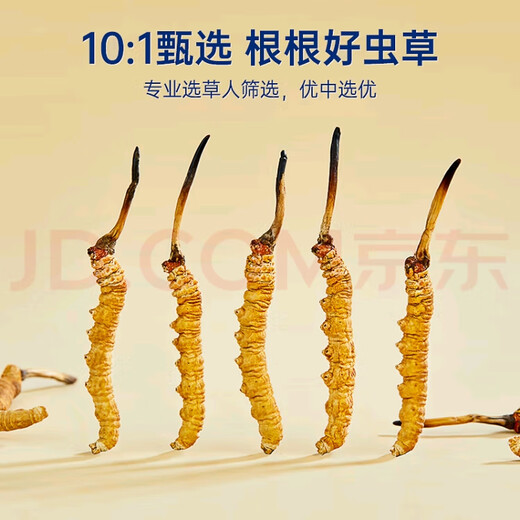 冬虫夏草（顺丰直发)藏区高海拔冬虫夏草礼盒送礼高端大气上档次 那曲虫草2根1克10条装