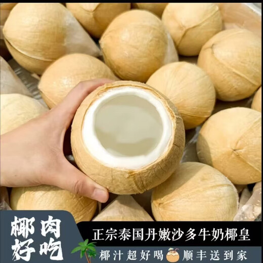 Thailand imported milk coconut royal coconut green pregnant women fruit coconut milk milk fragrant coconut royal fruit thick coconut coconut egg perfume coconut 8 large fruit pack 450-500G