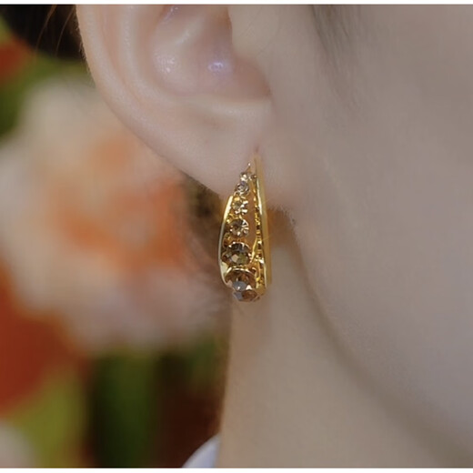 SNQP round face and big face are suitable for earrings, gold-encrusted diamond earrings, women's new light luxury niche 925 silver needle earrings