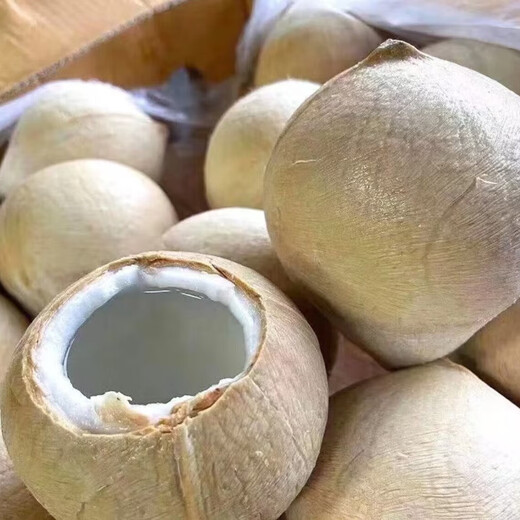 Thailand imported milk coconut royal coconut green pregnant women fruit coconut milk milk fragrant coconut royal fruit thick coconut coconut egg perfume coconut 8 large fruit pack 450-500G