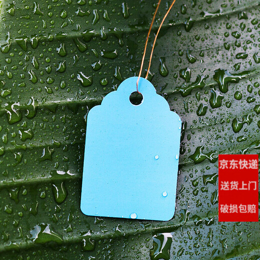 Shipton 100 pieces of PVC color plastic plant tags for flower gardening potted plants small hanging tags for seedlings and succulent tags 4.5x3cm yellow/100 pieces in a bundle
