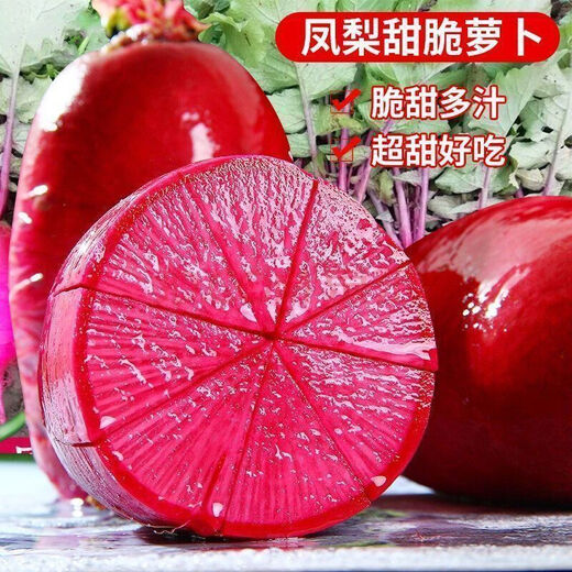 凤梨水果萝卜种子生吃紫美人萝卜胭脂萝卜籽夏季四季蔬菜种子大全 精品原装【1098粒】五包