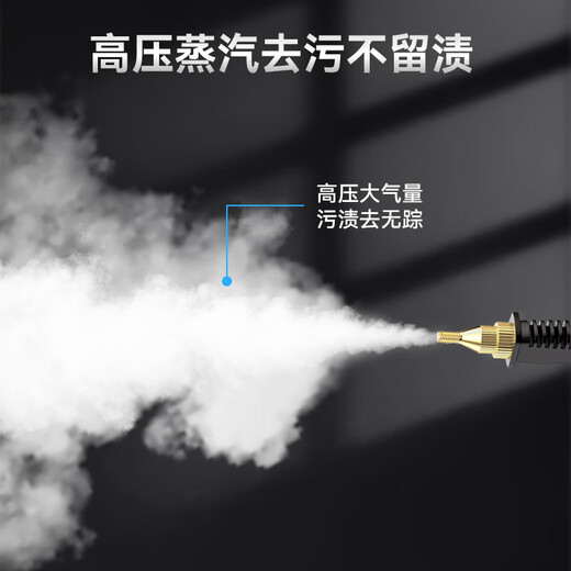 TrueX1.5L new intelligent high-temperature steam cleaning machine bottom drainable oven cleaning range hood cleaning and humidification multi-function all-in-one handheld steam cleaning machine multi-purpose