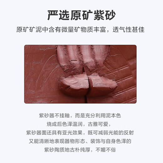 One pot and four cups of Xishi purple clay pot handmade teapot raw mineral tea set purple home office teapot Xishi one pot and four cups