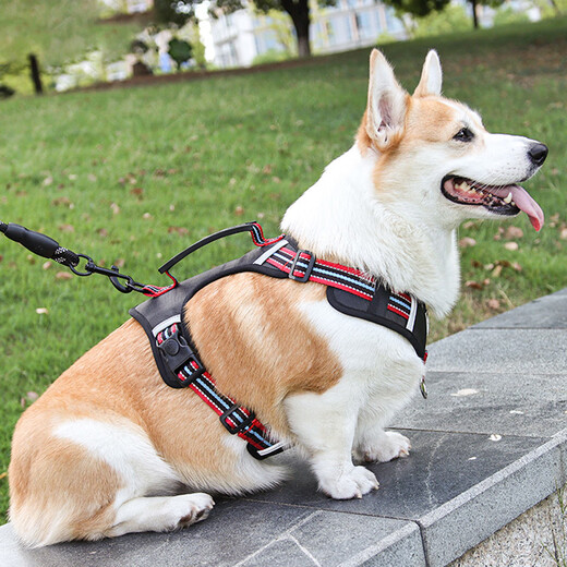 Jiahuide Dog Leash Vest Style Dog Walking Rope Shiba Inu Corgi Explosion-proof Harness Harness Small and Medium Dog Chain Colorful Black Harness + 2 Meter Reflective Dog Rope M Size Recommended 15-30 Jin Jin equals 0.5 kg for dogs