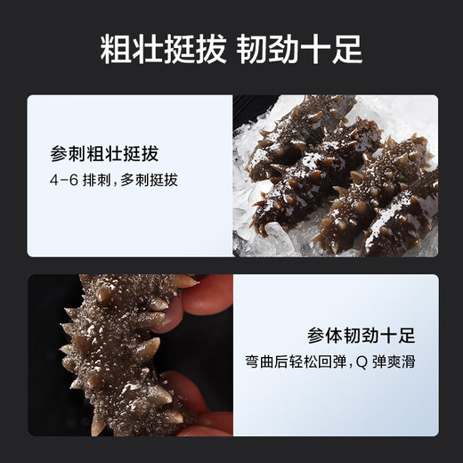 Made in Tokyo, Dalian organic fresh sea cucumber 1kg 16-20 pieces, solid content not less than 75%, ready-to-eat sea cucumber gift box