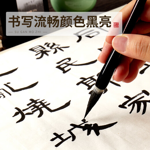 Liupintang calligraphy special quick-drying ink 250g large bottle brush ink activity for construction site calligraphy and painting Chinese painting ink vial beginners practice calligraphy and writing couplets quick-drying ink