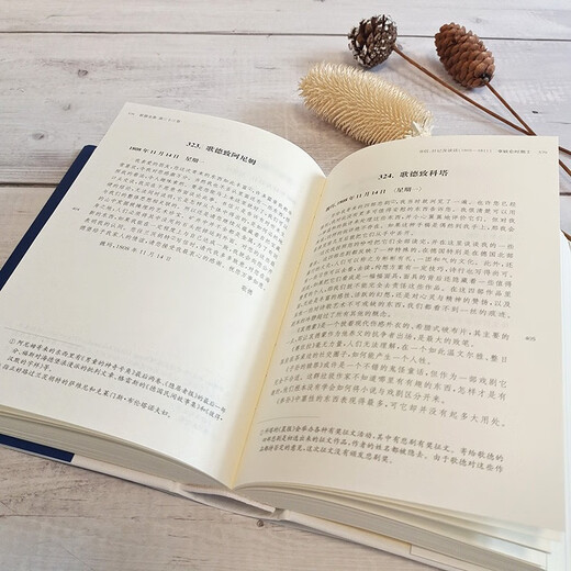 Das Gesamtwerk Goethes. Band 33. Briefe, Tagebücher und Gespräche Napoleonische Periode I (1805 - 1811)