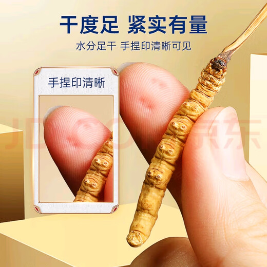 冬虫夏草（顺丰直发)藏区高海拔冬虫夏草礼盒送礼高端大气上档次 那曲虫草2根1克10条装