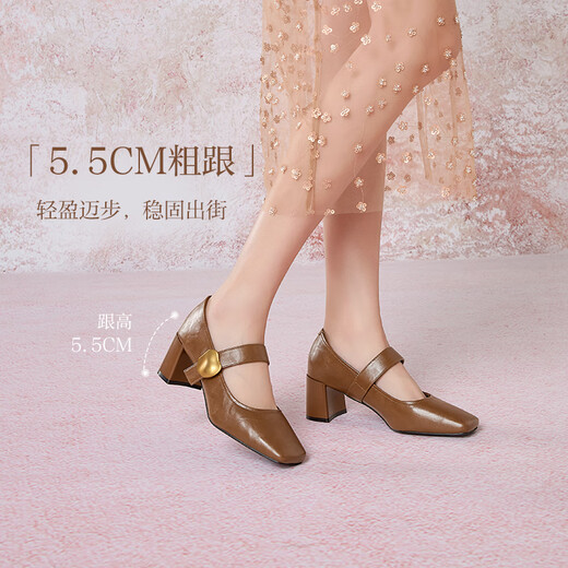 百思图25春复古玛丽珍鞋粗跟方头女单鞋M1509AQ5 棕色 37