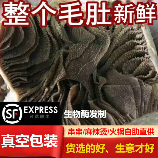 New esophagus hairy tripe, fresh and whole, available for next-day delivery in multiple places, commercial large-leaf tripe with bottom plate, wholesale hot pot ingredients, whole big tripe with bottom plate, net weight 3Jin Jin is equal to 0.5kg