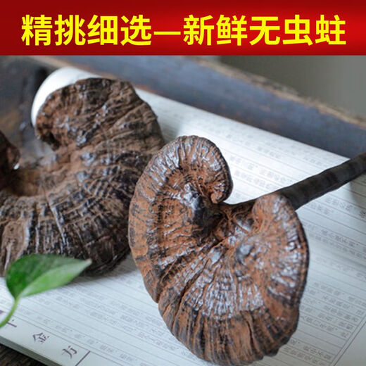 Fat Donglai's same wild Ganoderma lucidum pure natural purple Ganoderma lucidum wild L raw mountain natural non-bitter pruned branch with spore powder 500 grams Ganoderma lucidum sliced 10-16 pieces