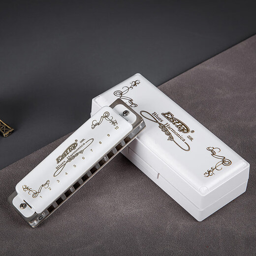 EAST TOP blues harmonica 10 holes T008L PADDY C key