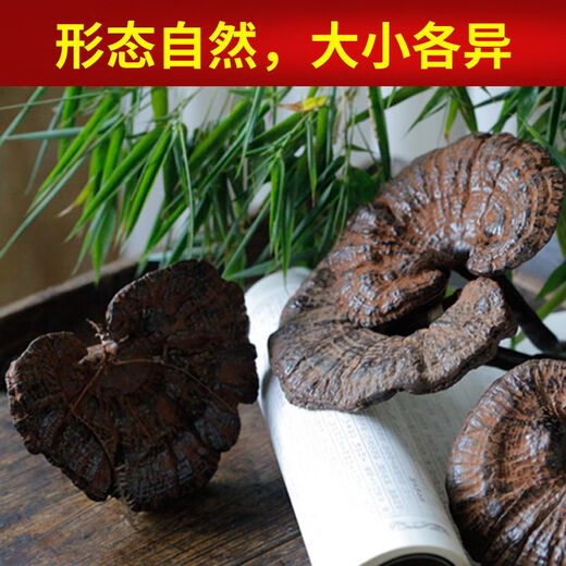Fat Donglai's same wild Ganoderma lucidum pure natural purple Ganoderma lucidum wild L raw mountain natural non-bitter pruned branch with spore powder 500 grams Ganoderma lucidum sliced 10-16 pieces