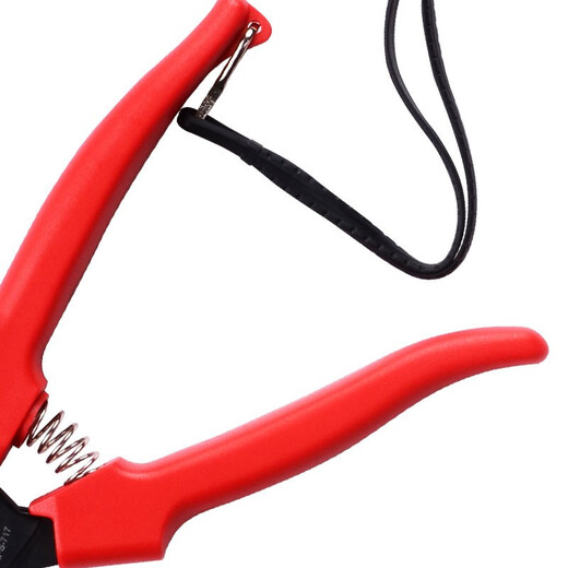 Robin Hood (RUBICON) pruning shears, imported garden branch shears, fruit branch shears, fruit tree shears, gardening scissors, pruning shears, multi-purpose shears, RPS-717, length 188mm